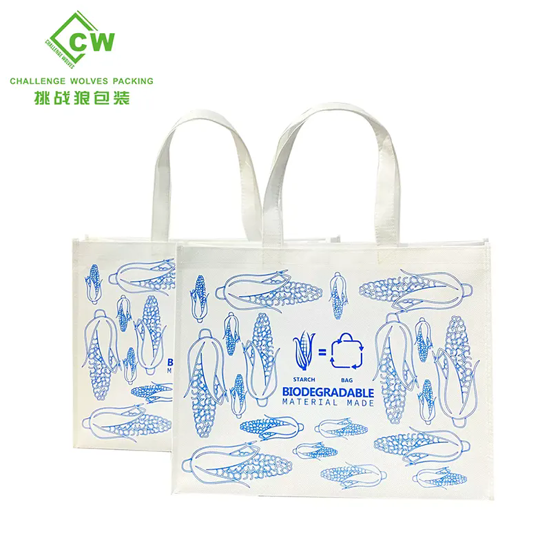 Introduction of Non-woven bag