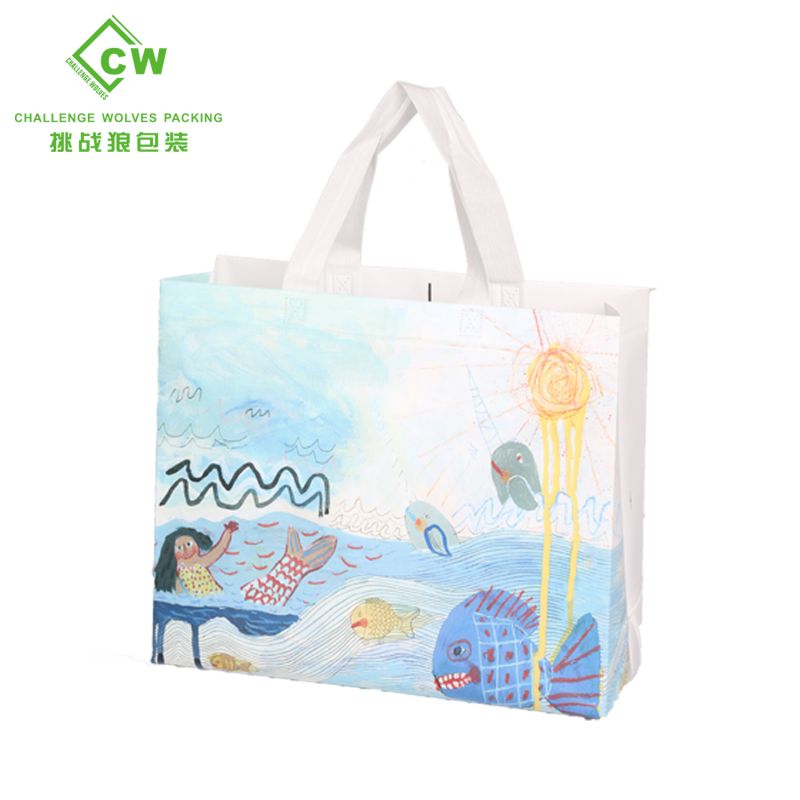 Non woven shopping Bags