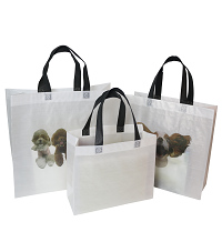 Woven Ultrasonic Bags