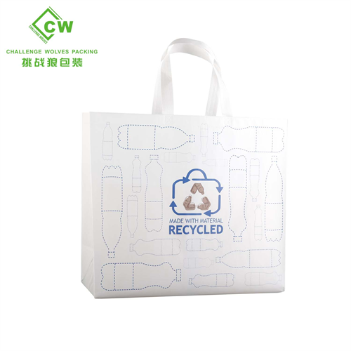 RPET Laminated Bag